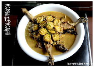 江蘇海豚灣餐飲管理 打造餐飲品牌運(yùn)營新標(biāo)桿